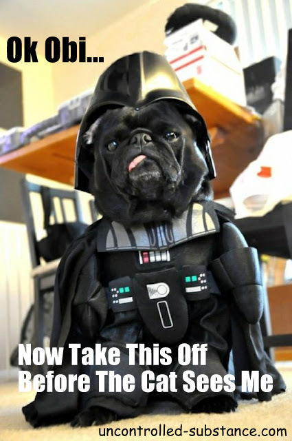 Darth-Dog