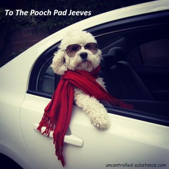 To The Pooch Pad