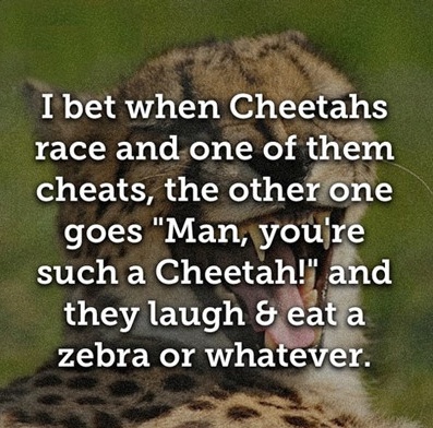 When Cheetahs Race