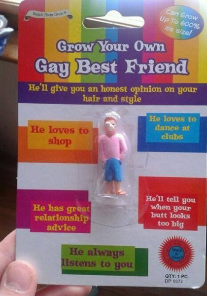 Your Own Gay Best Friend