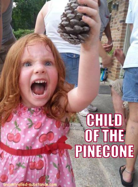 Child of the Pinecone