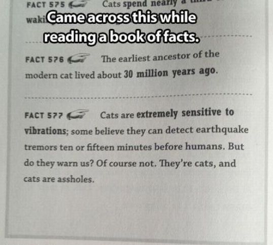 Cat Facts