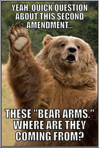 Bear Arms