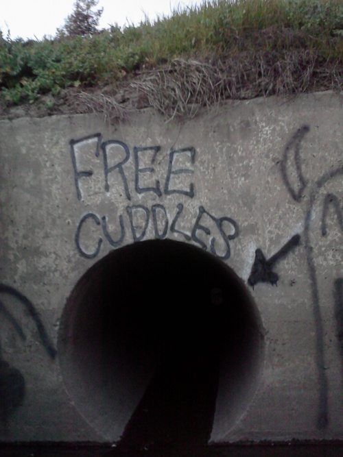 Free Cuddles