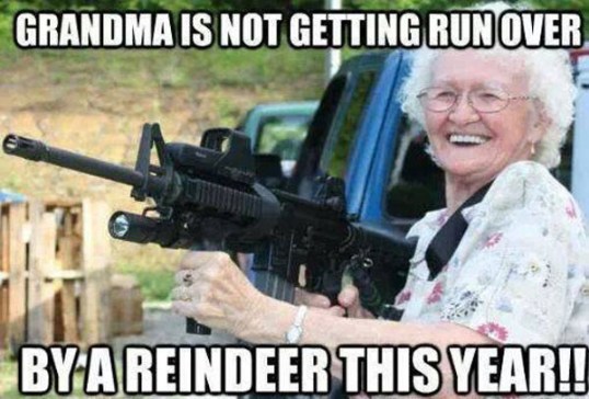 Grandmas Revenge
