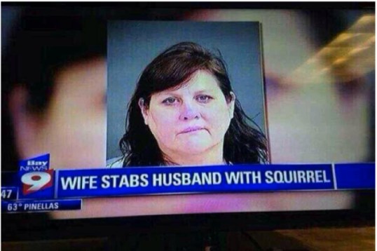 Squirrel Stabbing