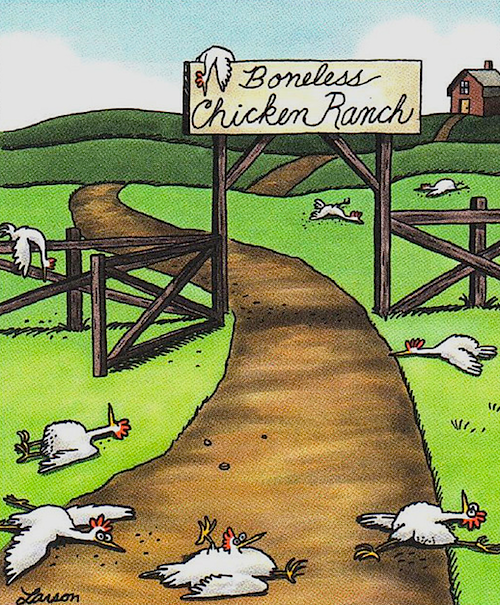 Boneless Chicken Ranch